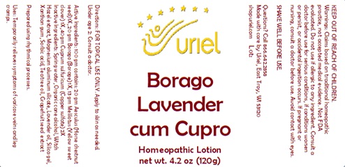 Borago Lavender Cum